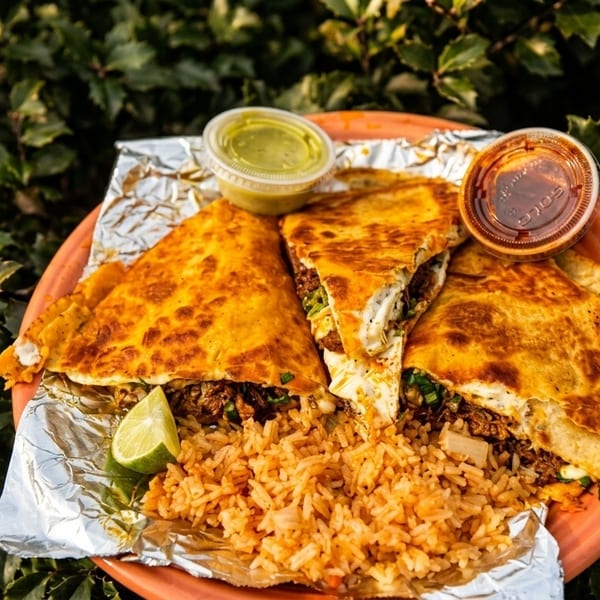 Three quesabirrias with rice, lime, and two sauces on a plate with a green leafy background.
