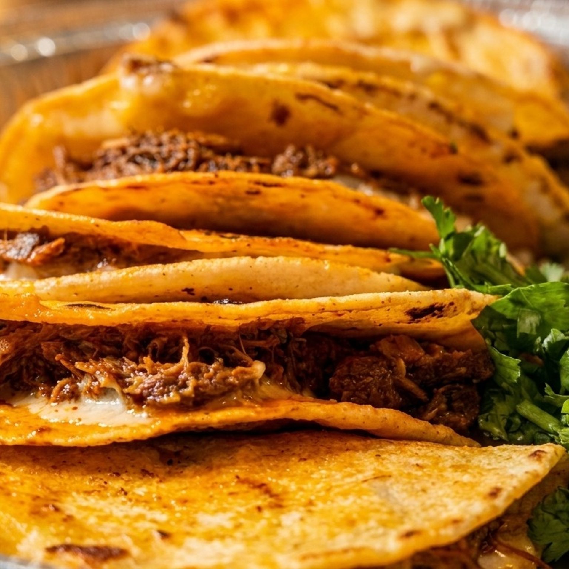 El Chuyo LLC Rewards